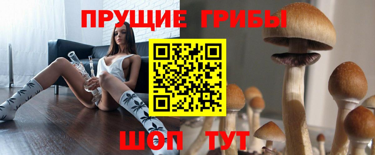 Псилоцибиновые грибы Psilocybe Полевской